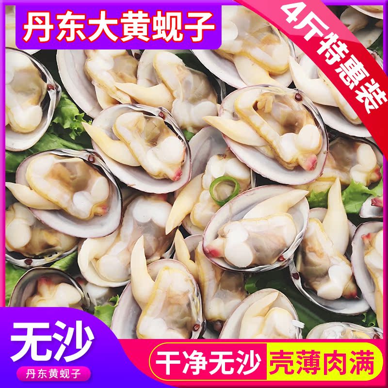 丹东东港大黄蚬子鲜活野生无沙黄蚬子蛤蜊水产海鲜4斤顺丰包邮|ruв категории водной мясо/свежие фрукты и овощи/еда, морепродукты/водные продукты/изделия, моллюски, моллюсков изделия - от Buy2taobao.com для оказания профессиональной услуги покупки агента Taobao