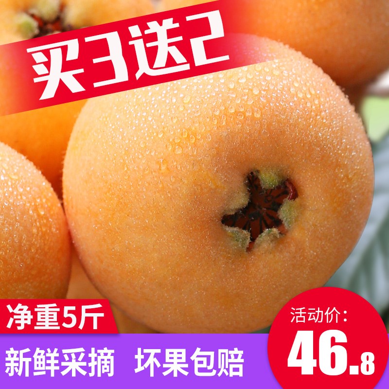 四川攀枝花米易枇杷果新鲜水果包邮整箱5斤当季批把孕妇五星琵琶在类目 办公设备/耗材/相关服务, 包装设备/标牌及耗材, 礼品盒中 - 来自Buy2taobao.com提供专业的淘宝代购服务