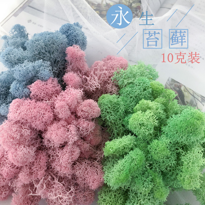 永生花荷兰进口无杂质苔藓10克装DIY手工制作材料新年生日礼物|ruв категории доставка цветов/цветок моделирования/растения садоводства, вечную жизнь цветы/сушеные цветы, вечную жизнь цветы - от Buy2taobao.com для оказания профессиональной услуги покупки агента Taobao