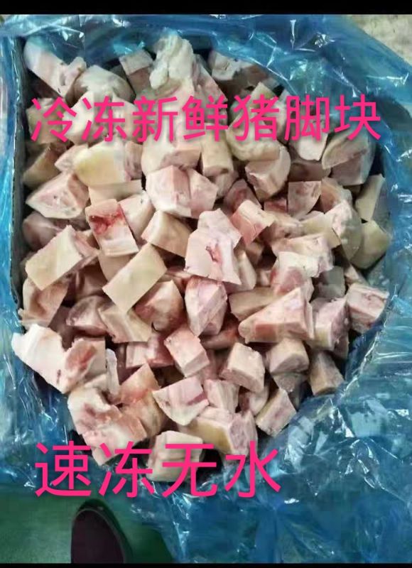 Frozen Fresh Pig's trotters Pig block Izume Nineteen Jin Anhydrousin the Aquatic meat/Fresh fruits and vegetables/Cooked , Raw meat/Meat , Pork , Raw pork category - from Buy2taobao.com to provide professional Taobao agent buy service