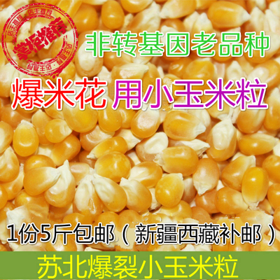 新鲜爆米花专用玉米粒爆米花原料农家蝶形爆裂小玉米2500克包邮