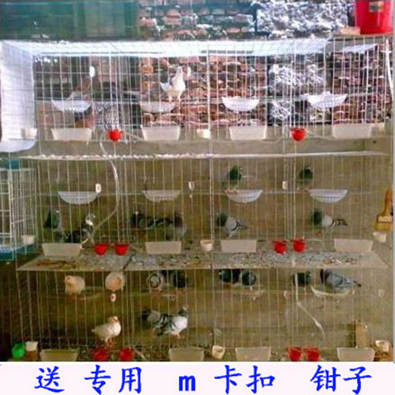 Bold pigeon cage 12 Cage culture cage Pigeon Pairing cage 1.5 Rice pigeon cage 16 Breeding pigeon Pigeon cagein the Home Daily , Home Hardware Tools , Household ladder category - from Buy2taobao.com to provide professional Taobao agent buy service