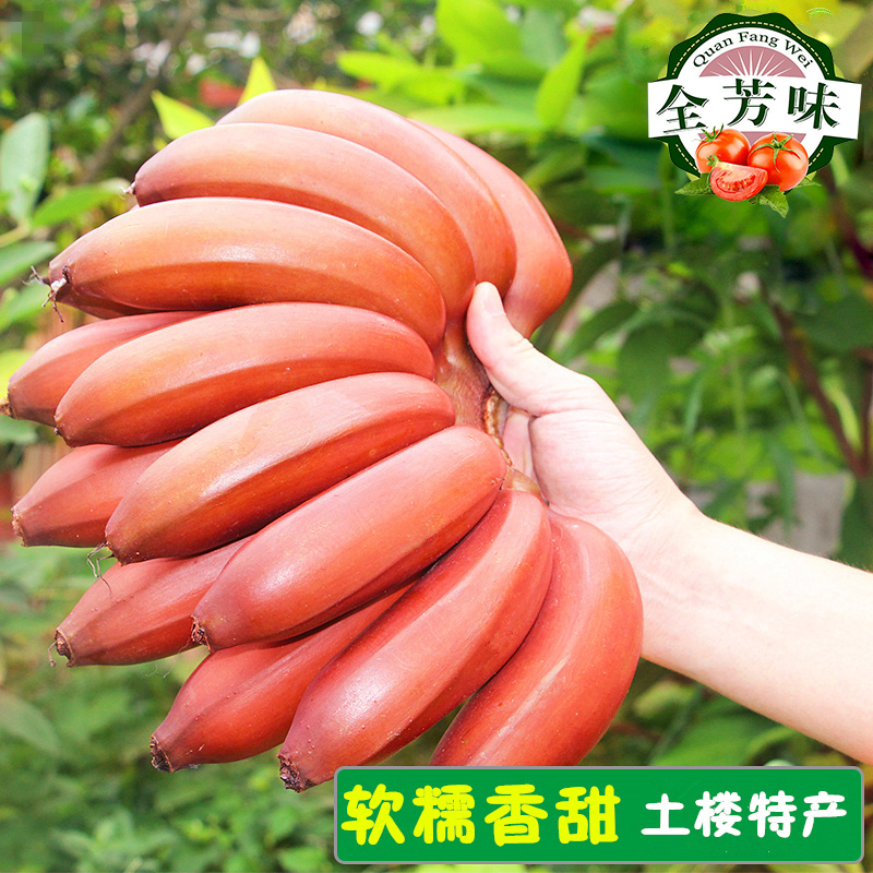 新鲜红香蕉 福建土楼红色米蕉孕妇水果 红皮美人蕉 banana芭蕉5斤|ruв категории водной мясо/свежие фрукты и овощи/еда, свежие фрукты, банан - от Buy2taobao.com для оказания профессиональной услуги покупки агента Taobao