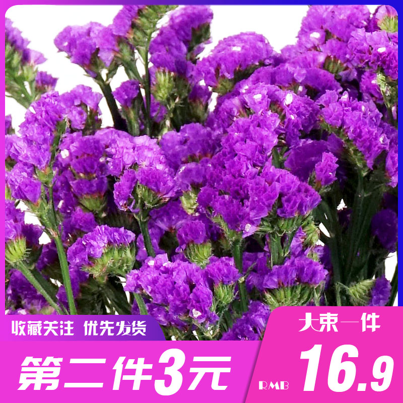 云南干花花束真花家居小清新摆设长款大束装饰鲜花艺单色勿忘我|msdalam kategori Aksesori rumah, pasu/bunga/bunga tiruan/perhiasan imitasi, bunga kering/Petal/pakej bunga kering/ranting kering - dari Buy2taobao.com untuk memberikan perkhidmatan ejen Taobao profesional membeli