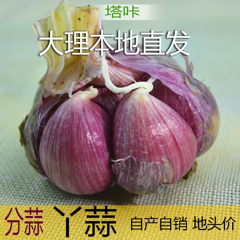 2019云南大理紫皮大蒜种蒜新蒜5斤干蒜非黑蒜腊八绿蒜独蒜糖醋|ruв категории водной мясо/свежие фрукты и овощи/еда, свежие овощи/овощной продукции, чеснок - от Buy2taobao.com для оказания профессиональной услуги покупки агента Taobao