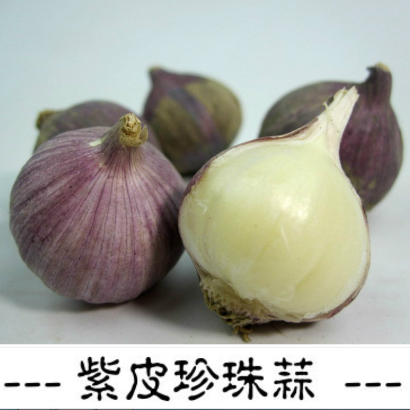 包邮5斤装 珍珠蒜云南大理特产紫皮大蒜头 独头蒜 农家新独蒜干蒜|ruв категории водной мясо/свежие фрукты и овощи/еда, свежие овощи/овощной продукции, чеснок - от Buy2taobao.com для оказания профессиональной услуги покупки агента Taobao
