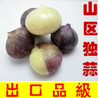 大理紫皮大蒜-蔬菜农家自种1500g包邮蒋氏食