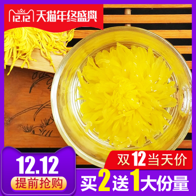2送1金丝皇菊大菊花茶一朵一杯茶叶黄菊胎菊贡菊可搭枸杞金银花茶