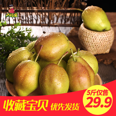 【买1送1共5斤】太阳果 陕西大荔香梨酥脆多汁梨子新鲜水果包邮