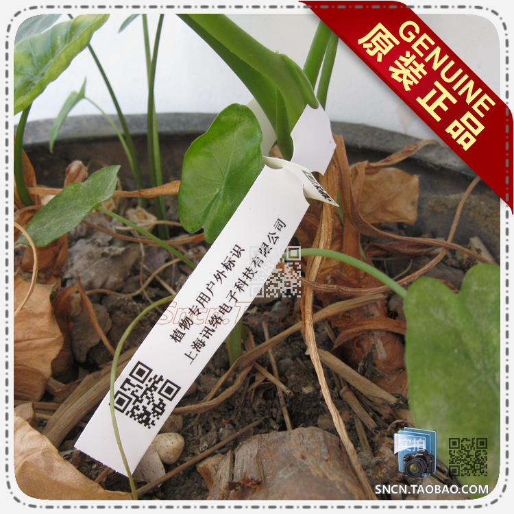 PP环套花卉植物标签 园艺标签 塑料兰花防水标签 热转印条码标签在类目 办公设备/耗材/相关服务, 办公用纸, 标签打印纸/条码纸中 - 来自Buy2taobao.com提供专业的淘宝代购服务
