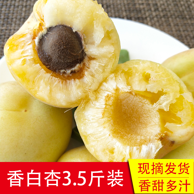 香白杏 农家种植自然熟甜蜜多汁3斤装下单再送半斤现摘发货|ruв категории водной мясо/свежие фрукты и овощи/еда, свежие фрукты, другие - от Buy2taobao.com для оказания профессиональной услуги покупки агента Taobao
