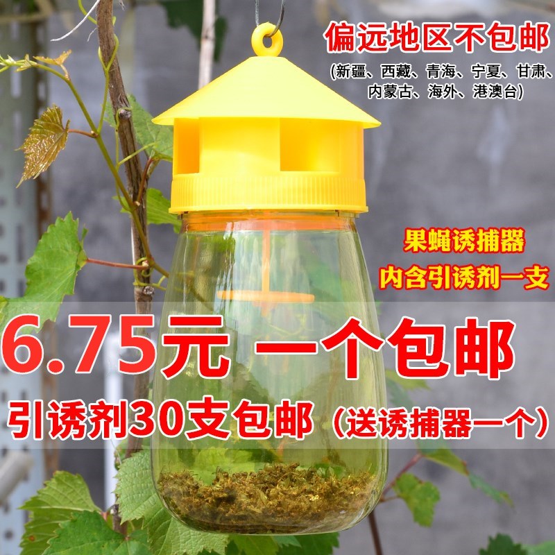 花卉果蝇杀虫剂灭果蝇神器室内饵剂大蝇百香果果场种植园捕虫器在类目 鲜花速递/花卉仿真/绿植园艺, 园艺用品, 其它园艺用品中 - 来自Buy2taobao.com提供专业的淘宝代购服务