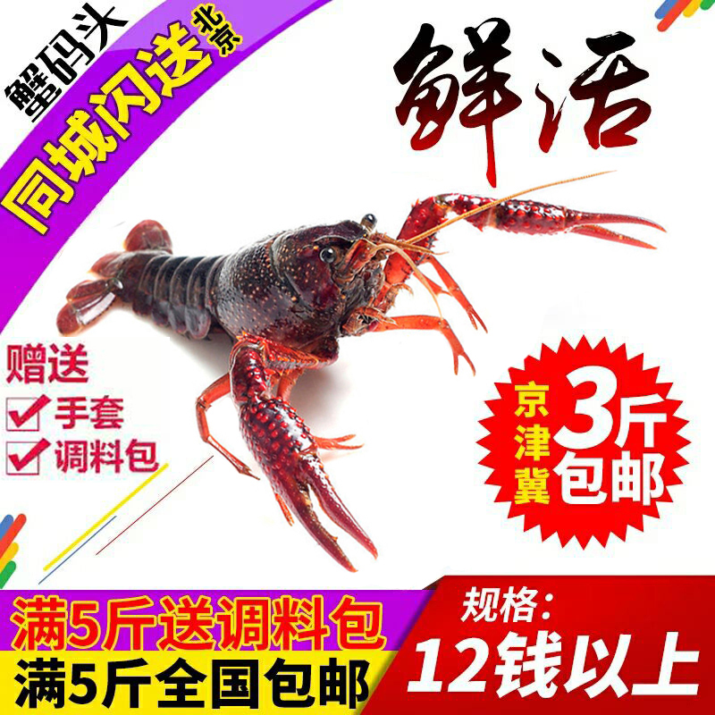 Beijing spot Jiangsu Xuyi Crayfish Fresh 12 Above 5 Shunfeng Spicy and spicy lobsterin the Aquatic meat/Fresh fruits and vegetables/Cooked , Seafood/Aquatic/Product , Shrimp , Huoxia category - from Buy2taobao.com to provide professional Taobao agent buy service