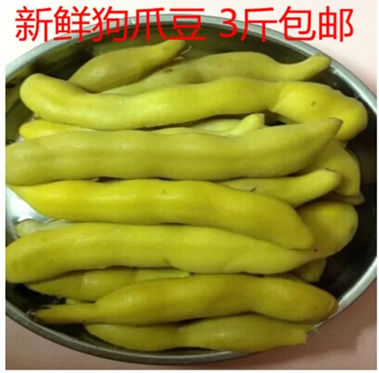 四川龙爪豆新鲜蔬菜狗儿豆3斤包邮现摘现发农家自种猫儿豆狗仔豆|ruв категории водной мясо/свежие фрукты и овощи/еда, свежие овощи/овощной продукции, свежие овощи, другие - от Buy2taobao.com для оказания профессиональной услуги покупки агента Taobao