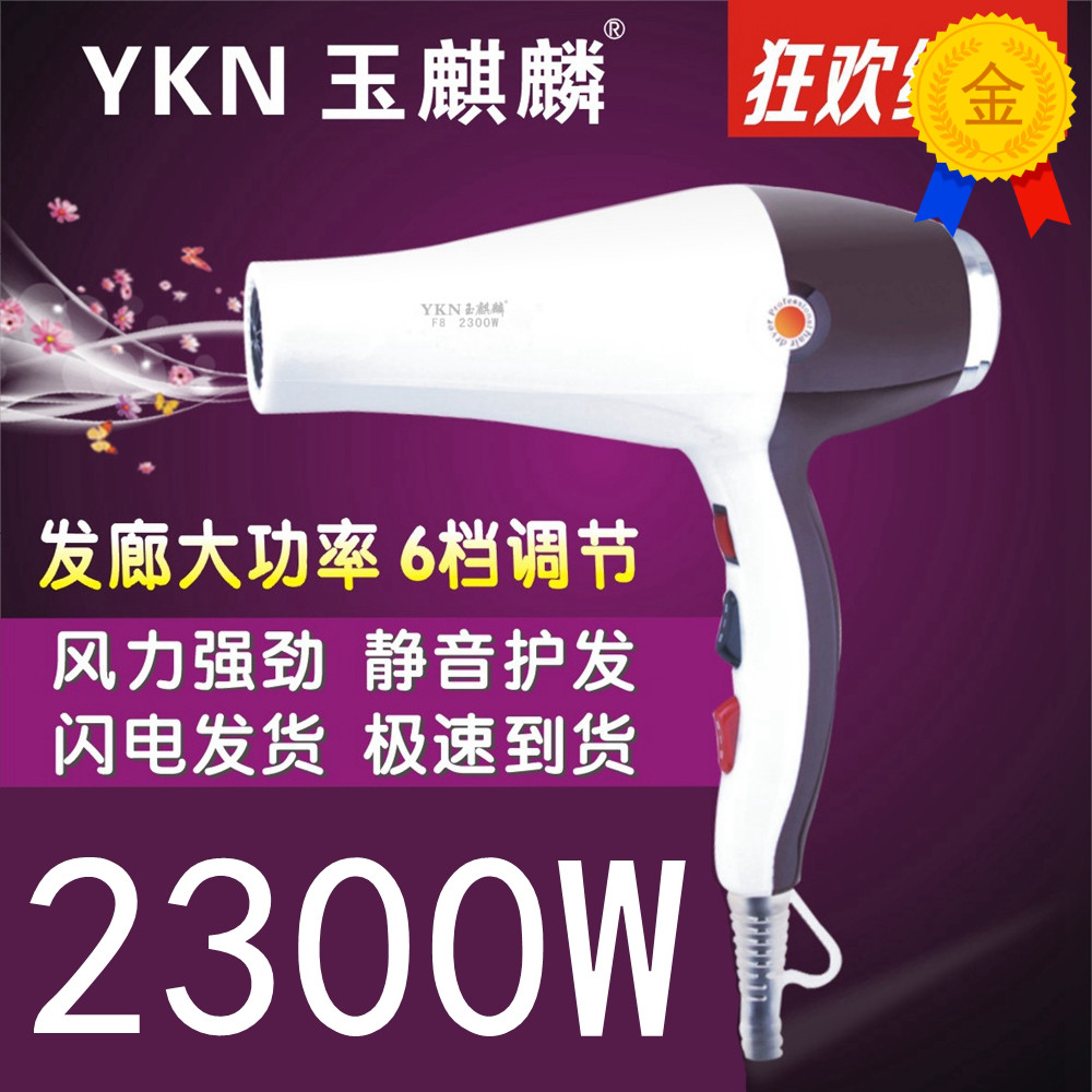 玉麒麟F8專業大功率電吹風機2300W直發/卷發發廊家庭用冷熱風筒在類目 個人護理/保健/按摩器材, 美髮工具, 電吹風中 - 來自Buy2taobao.com提供專業的淘寶代購服務
