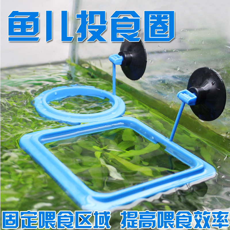 魚兒投食圈水族箱魚缸魚食魚糧魚飼料烏龜喂食喂食圈投喂圈喂食器在類目 寵物/寵物食品及用品, 水族世界, 魚缸等水族設備, 餵食器中 - 來自Buy2taobao.com提供專業的淘寶代購服務