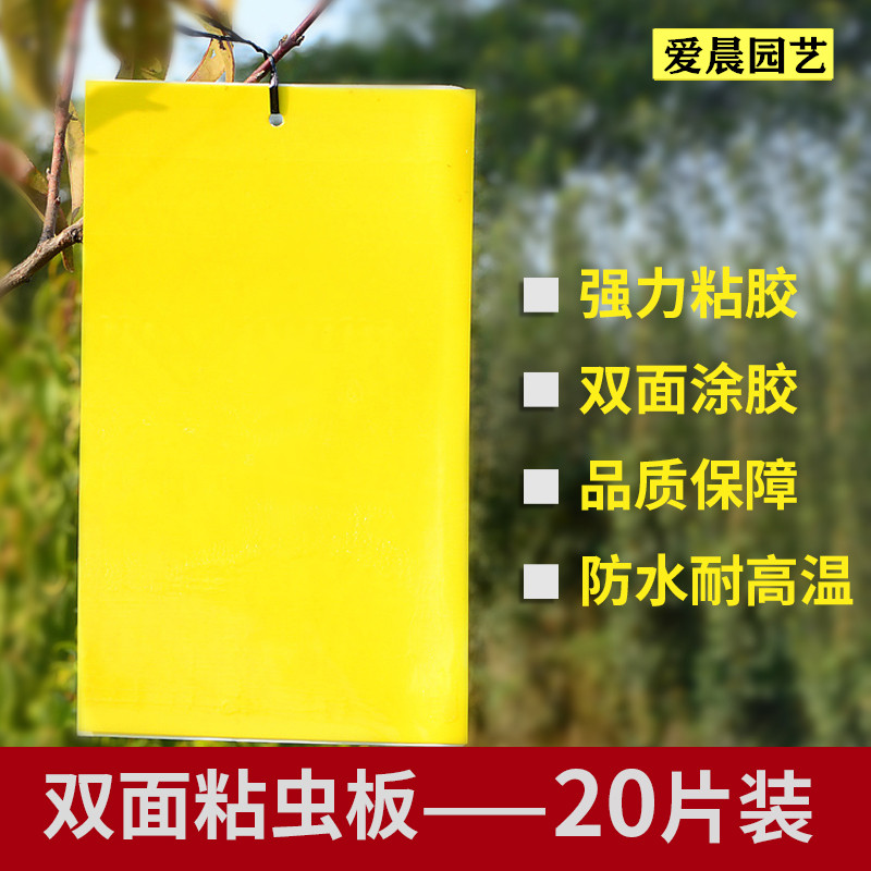 黄板双面粘虫板诱虫蓝板纸贴黄色灭小飞虫沾果蝇粘板果园蓟马大棚在类目 鲜花速递/花卉仿真/绿植园艺, 园艺用品, 其它园艺用品中 - 来自Buy2taobao.com提供专业的淘宝代购服务
