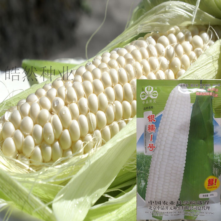 No.1 Corn seeds Taste Excellent Well White corn Sweet glutinous typein the Flower delivery/Flowers simulation/Plants gardening , Gardening supplies , Intelligence Gardening supplies category - from Buy2taobao.com to provide professional Taobao agent buy service