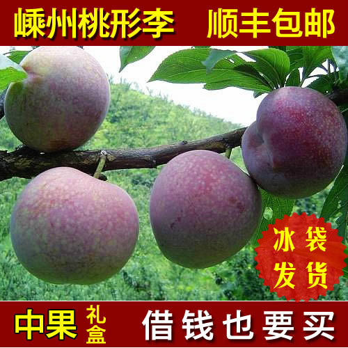 Fresh fruit Orthodox school Shengzhou Peach shaped plum Red Li Shunfengin the Aquatic meat/Fresh fruits and vegetables/Cooked , Fresh fruit , Plums category - from Buy2taobao.com to provide professional Taobao agent buy service