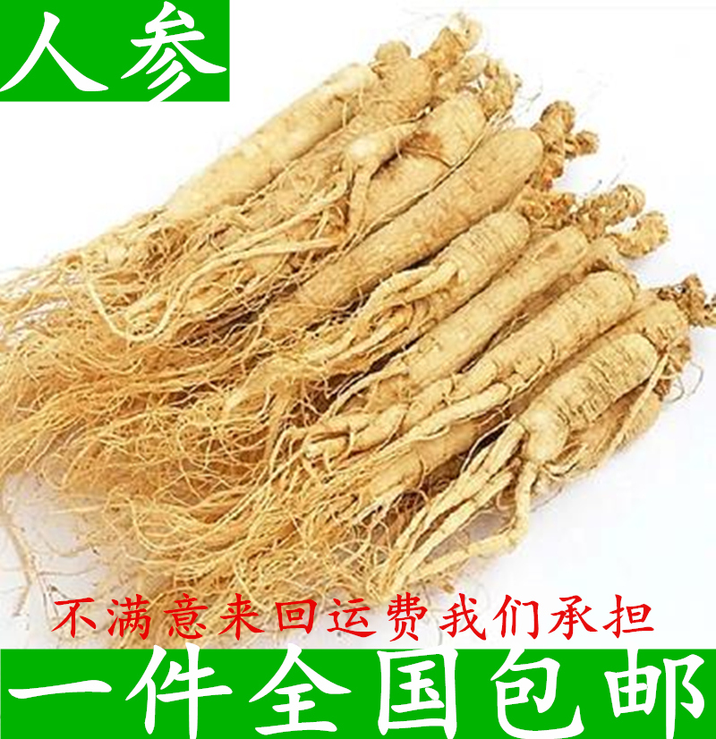 ginseng Chinese herbal medicines wild Ginseng White Ginseng Northeast White Ginseng Changbai ginseng Paojiu bulk 100gin the Traditional nourishing food , Ginseng tonic , Ginseng/Garden ginseng category - from Buy2taobao.com to provide professional Taobao agent buy service