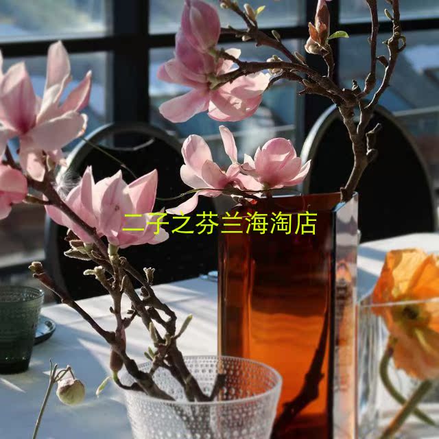 芬兰Iittala Ruutu菱形花瓶115x140mm 三文鱼色|ruв категории Домашний быт, ваза/цветок/искусственные цветы/моделирование украшения, цветок/ваза, ваза - от Buy2taobao.com для оказания профессиональной услуги покупки агента Taobao