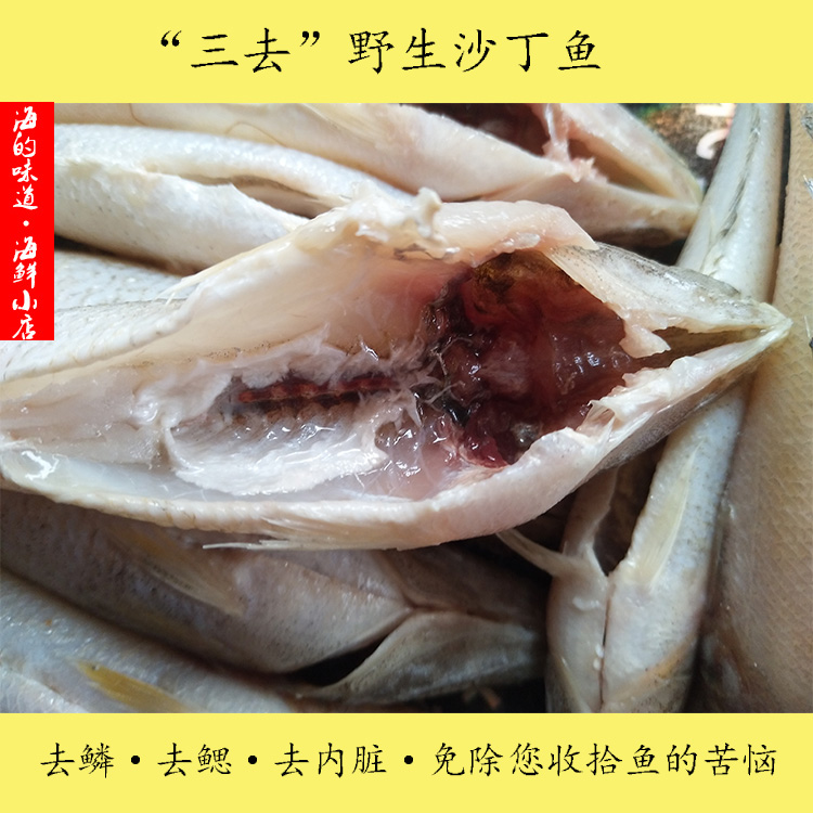 野生沙丁魚新鮮海鮮鮮活水産沙丁魚沙尖魚做寶寶輔食內髒已去掉在類目 水產肉類/新鮮蔬果/熟食, 海鮮/水產品/製品, 其它中 - 來自Buy2taobao.com提供專業的淘寶代購服務