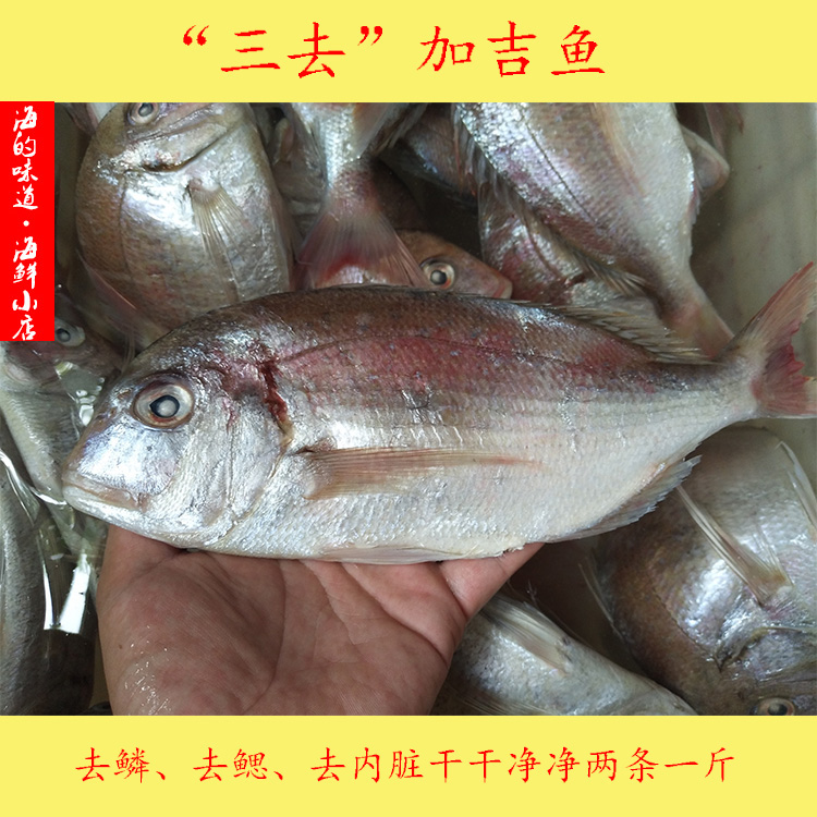 野生去内脏加吉鱼新鲜深海鱼鲷鱼铜盆鱼红加吉顺丰任意4件包邮|msdalam kategori daging perikanan/Buah-buahan segar dan sayur-sayuran/dimasak, makanan laut/produk akuatik/produk, lain - dari Buy2taobao.com untuk memberikan perkhidmatan ejen Taobao profesional membeli