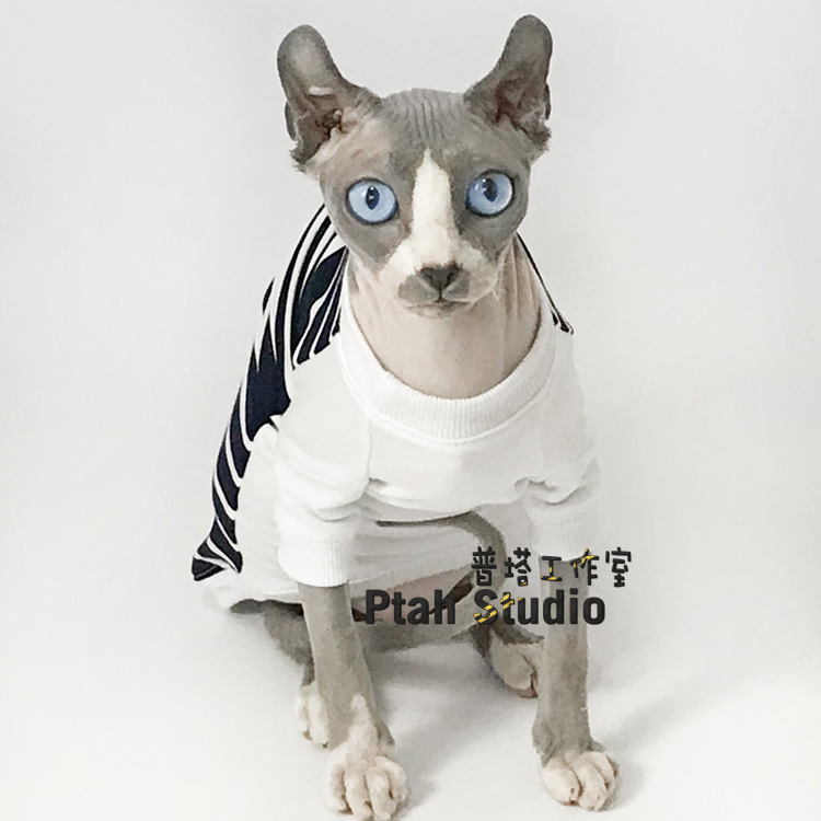 「Ptah Studio」斯芬克斯猫衣服无毛猫衣服猫衣服猫卫衣纯棉|ruв категории животное/Животное питание и принадлежностей, одежды и аксессуаров для домашних животных, одежда/заказ товаров (новый), домашний костюм - от Buy2taobao.com для оказания профессиональной услуги покупки агента Taobao