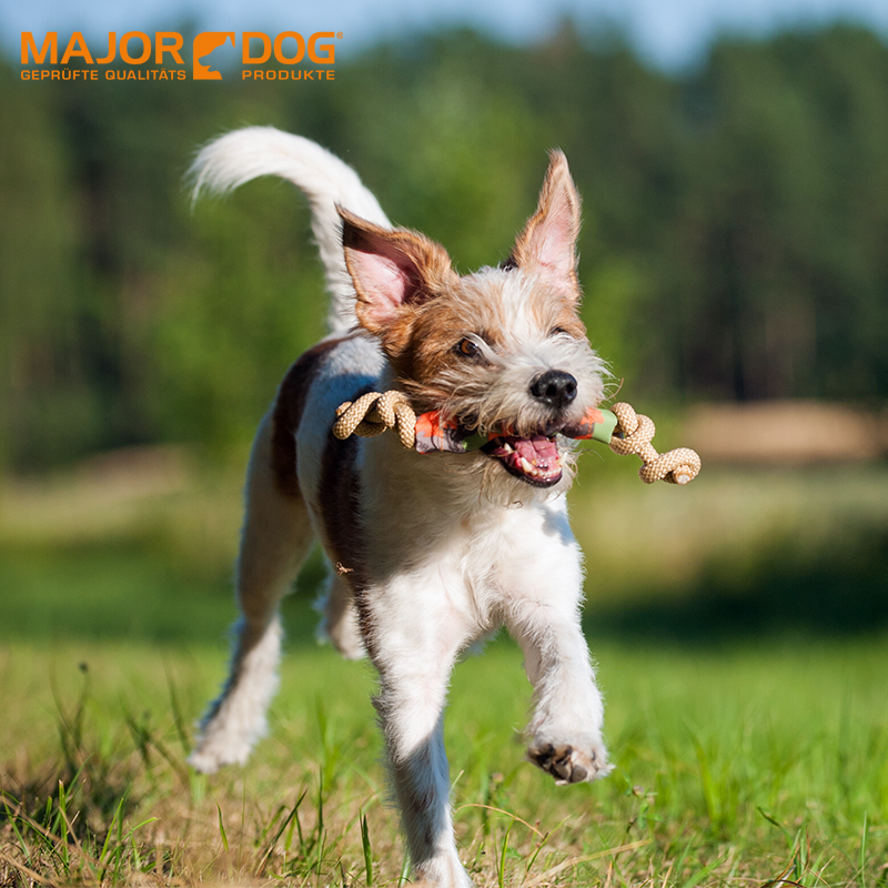 德國MajorDog 手拉帶 耐咬拔河投擲漂浮互動玩具 寵物銜回訓練在類目 寵物/寵物食品及用品, 貓/狗玩具, 其它玩具中 - 來自Buy2taobao.com提供專業的淘寶代購服務