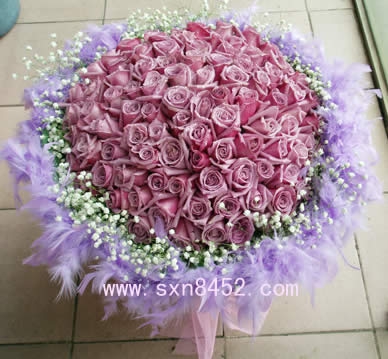 定99朵紫玫瑰花 宝安附近花店 羽毛花束同事朋友花束深圳实体花店在类目 鲜花速递/花卉仿真/绿植园艺, 鲜花速递(同城)中 - 来自Buy2taobao.com提供专业的淘宝代购服务