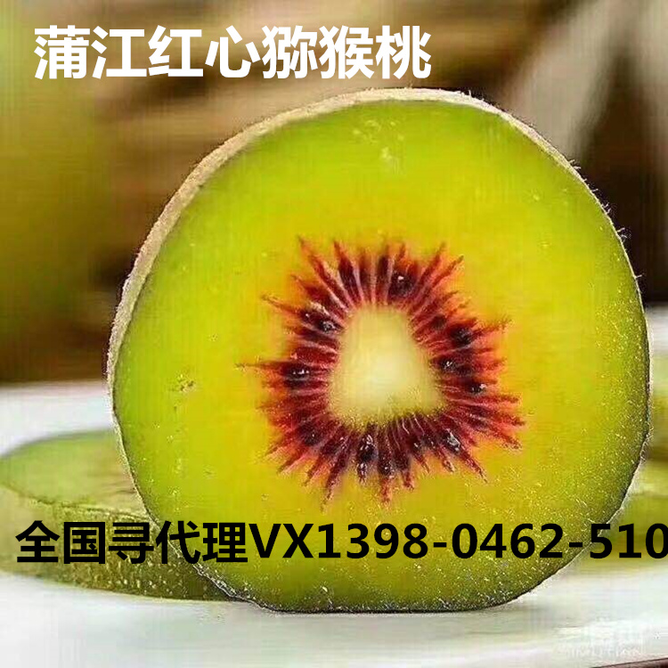 蒲江醜柑青見春見耙耙柑紅心猕猴桃 原産地全國招代理壹件代發在類目 水產肉類/新鮮蔬果/熟食, 新鮮水果, 桔子中 - 來自Buy2taobao.com提供專業的淘寶代購服務