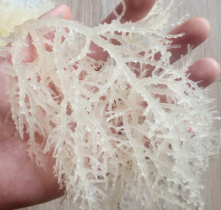野生鹿角菜水产干货深海珊瑚草 石花菜龙须菜海藻菜泡发凉菜100g在类目 粮油米面/南北干货/调味品, 南北干货/肉类干货, 干货/土特产, 其它中 - 来自Buy2taobao.com提供专业的淘宝代购服务