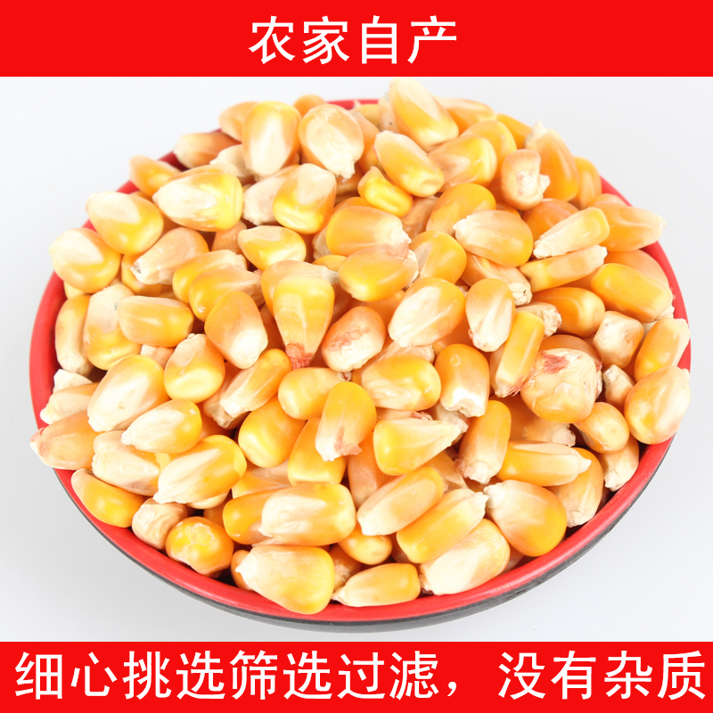 Dried corn Corn Cob Cornmeal Huang Corn Go fishing Play nest Poultry dove feed Whole grainsin the Agri rice/Dried foods/Condiment , Meter/Flour/Grains , Corn category - from Buy2taobao.com to provide professional Taobao agent buy service