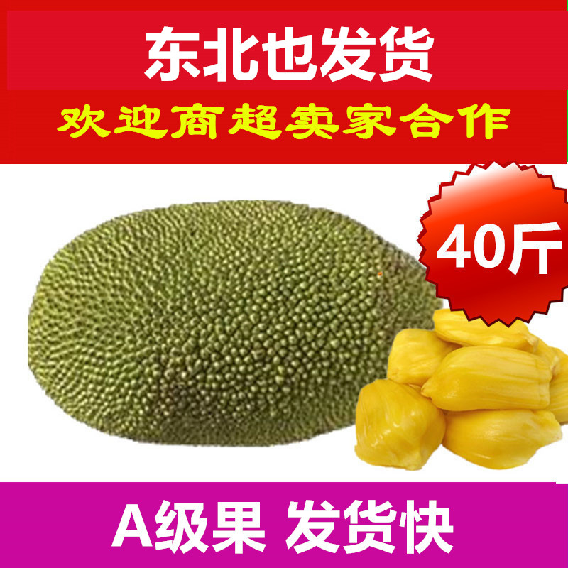 38~40斤特大果海南三亚菠萝蜜孕妇新鲜水果老树果现摘现发|msdalam kategori daging perikanan/Buah-buahan segar dan sayur-sayuran/dimasak, buah-buahan segar, lain - dari Buy2taobao.com untuk memberikan perkhidmatan ejen Taobao profesional membeli