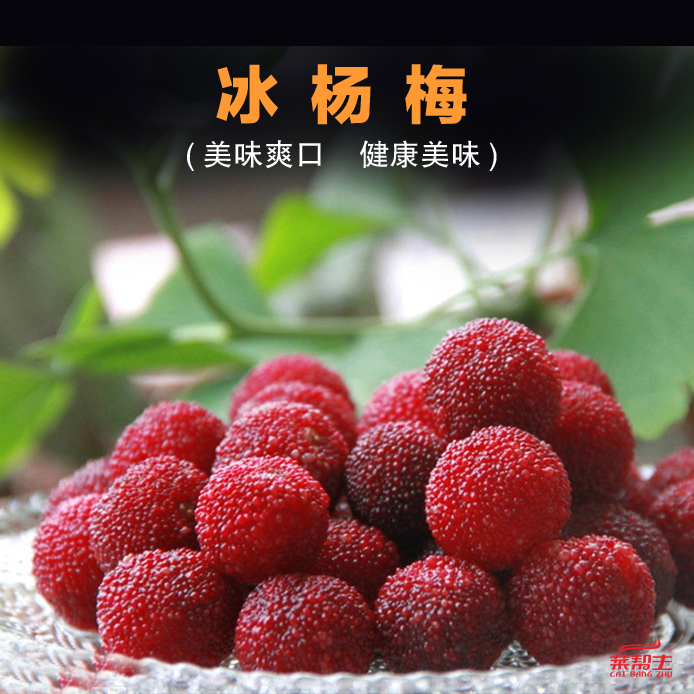 菜幫主冰楊梅150g開胃小吃冰凍半成品即食涼菜素菜酒飯店特色小菜在類目 水產肉類/新鮮蔬果/熟食, 新鮮水果, 其它中 - 來自Buy2taobao.com提供專業的淘寶代購服務
