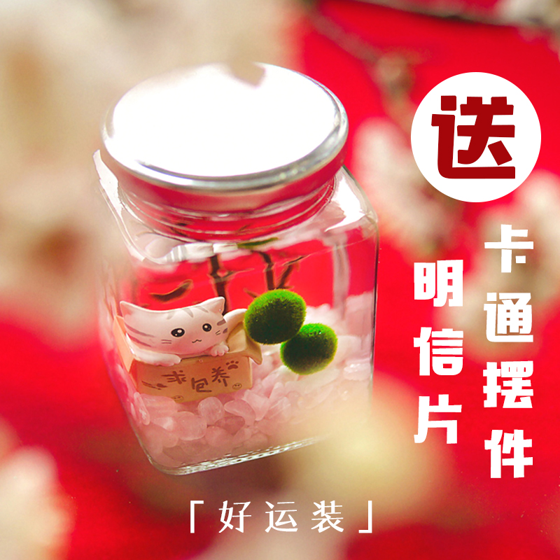 海藻球MARIMO球藻时光堂「好运装」生态瓶微景观苔藓澡球迷你植物|msdalam kategori penghantaran bunga/bunga simulasi/tumbuhan berkebun, Plants Mini kreatif - dari Buy2taobao.com untuk memberikan perkhidmatan ejen Taobao profesional membeli