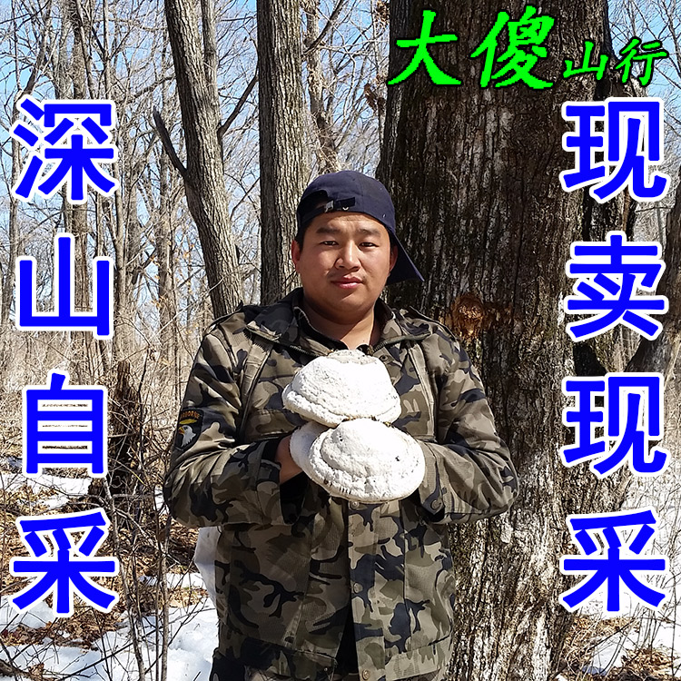 東北深山野生木蹄層孔菌木蹄靈芝包郵長白山整枝正品散裝菌種林芝在類目 傳統滋補營養品, 靈芝, 整枝靈芝中 - 來自Buy2taobao.com提供專業的淘寶代購服務