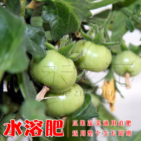 全階段水溶肥專用 蔬菜類瓜類果通用肥料施肥生根壯苗禾之元種業在類目 鮮花速遞/花卉仿真/綠植園藝, 園藝用品, 家庭園藝肥料/營養土/營養液中 - 來自Buy2taobao.com提供專業的淘寶代購服務