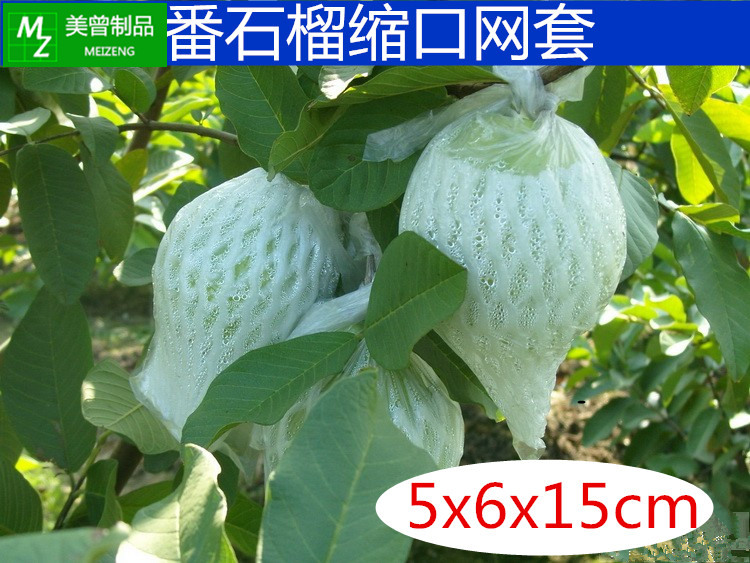 芭樂番石榴種植網套袋水果網套壹體套袋有耳型防蟲防鳥大包更實惠在類目 辦公設備/耗材/相關服務, 包裝設備/標牌及耗材, 包裹袋/編織袋中 - 來自Buy2taobao.com提供專業的淘寶代購服務