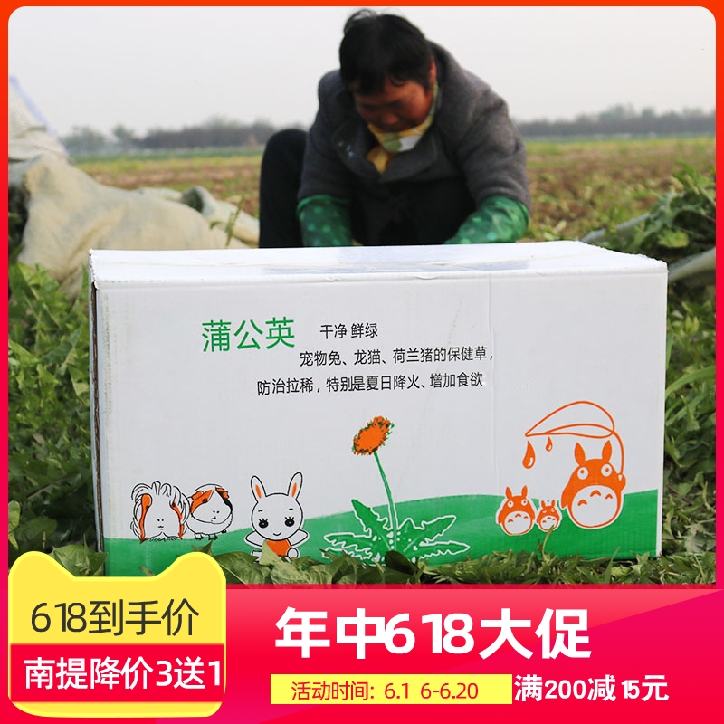 St round wild fresh Dandelion Hay 100g Totoro Guinea pigs Pet Care Buy 10 Send ain the Pet/Pet food and supplies , Rabbits and supplies , Bunny hay category - from Buy2taobao.com to provide professional Taobao agent buy service