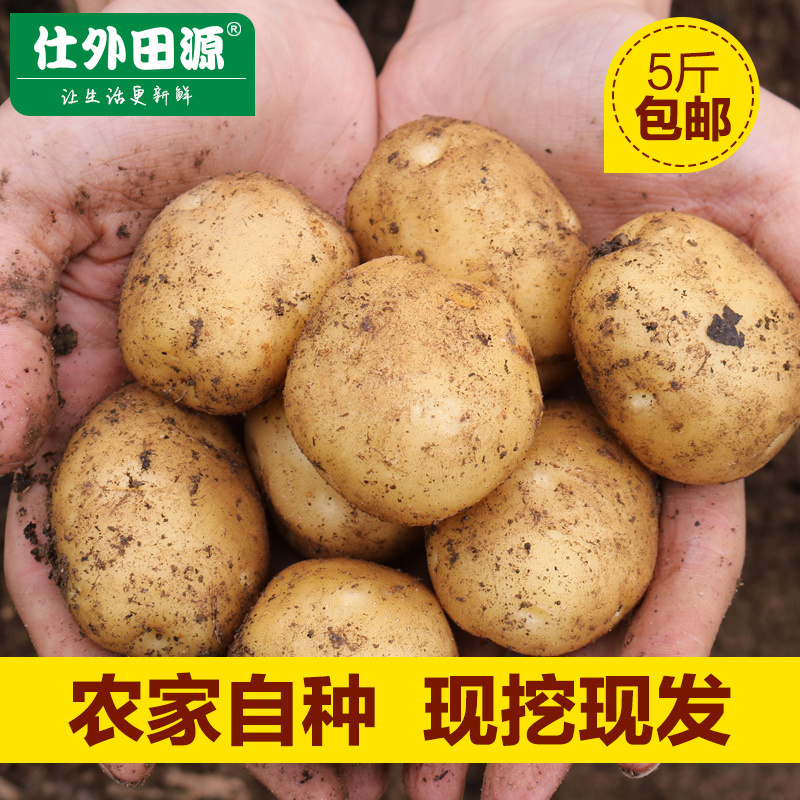 仕外田源新鲜高山小土豆5斤装洋芋粉糯可口农家自产马铃薯包邮在类目 水产肉类/新鲜蔬果/熟食, 新鲜蔬菜/蔬菜制品, 新鲜蔬菜, 土豆中 - 来自Buy2taobao.com提供专业的淘宝代购服务