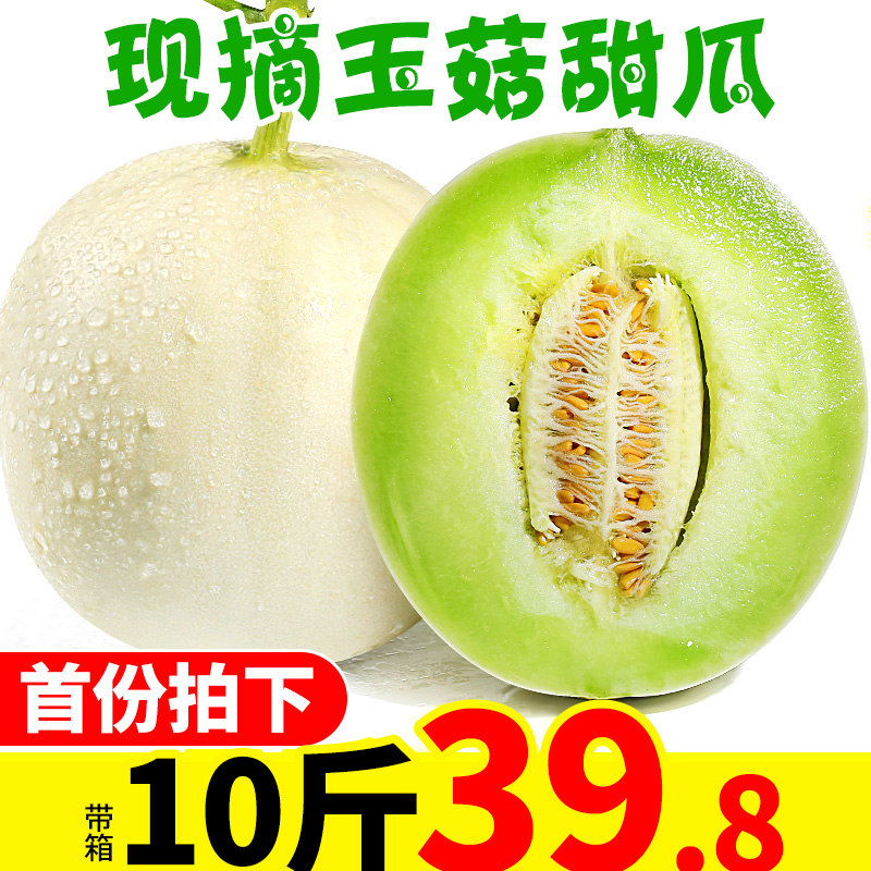 玉菇蜜瓜甜瓜水果新鲜包邮带箱10斤批发当季整箱应季时令密瓜香瓜|msdalam kategori daging perikanan/Buah-buahan segar dan sayur-sayuran/dimasak, buah-buahan segar, 甜瓜 - dari Buy2taobao.com untuk memberikan perkhidmatan ejen Taobao profesional membeli