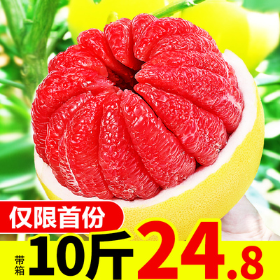福建平和管溪红心柚子红肉蜜柚红柚子新鲜水果当季整带箱10斤