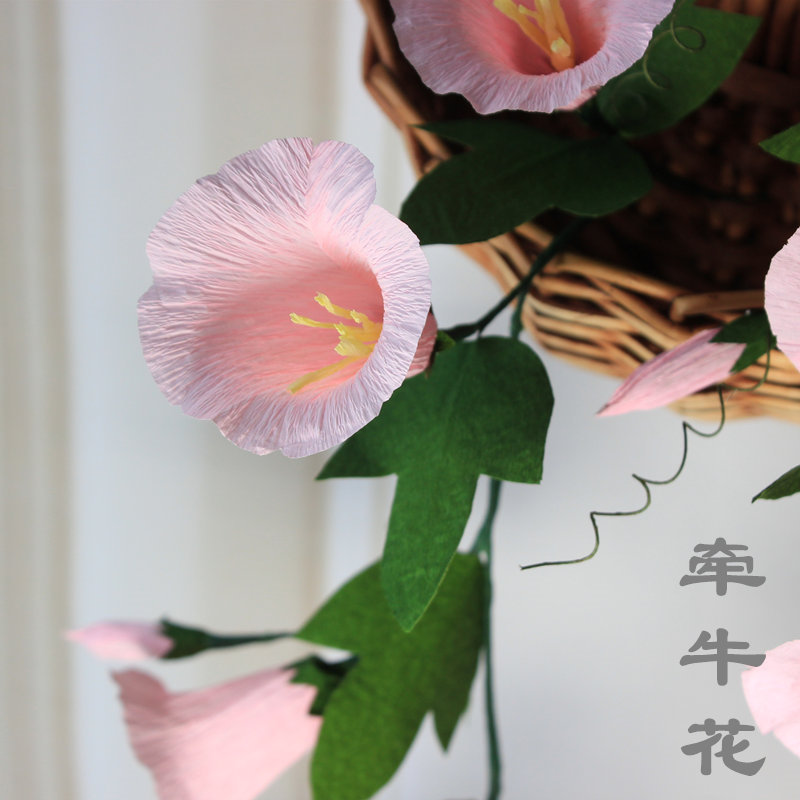 手工折纸皱纹纸牵牛花学习材料包 花艺材料套餐手工作业课在类目 鲜花速递/花卉仿真/绿植园艺, DIY仿真花材料, 制作材料(新), 皱纹纸中 - 来自Buy2taobao.com提供专业的淘宝代购服务