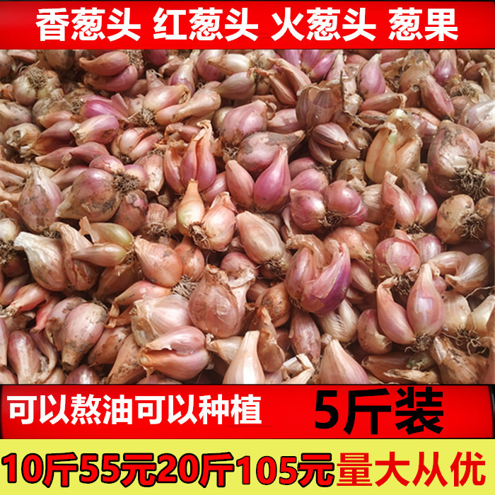 【19年新货饱满5斤】新鲜红葱头小香葱头种干葱可做油葱酥卤肉饭|ruв категории водной мясо/свежие фрукты и овощи/еда, свежие овощи/овощной продукции, свежие овощи, другие - от Buy2taobao.com для оказания профессиональной услуги покупки агента Taobao