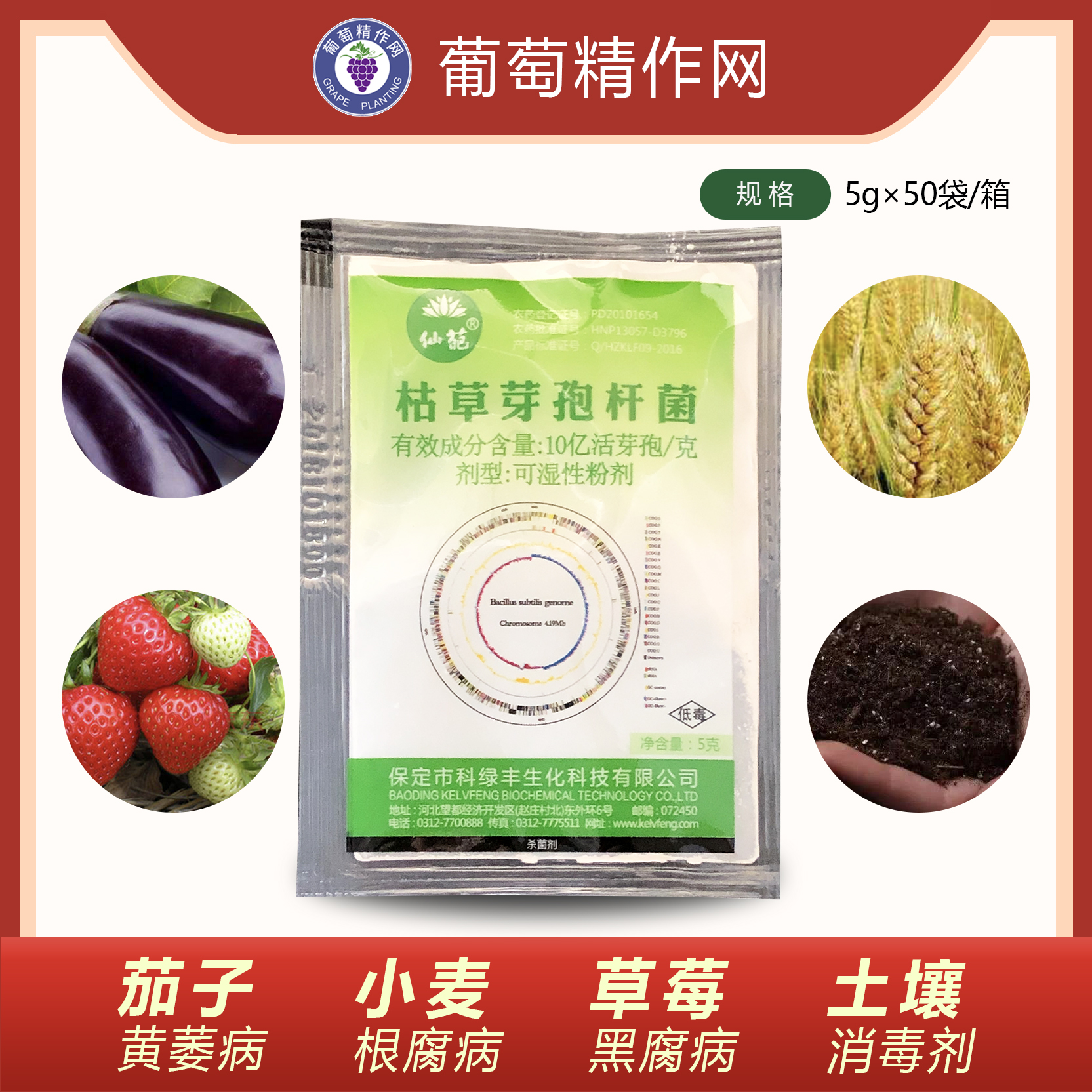 仙葩多肉花卉杀菌剂枯草芽孢杆菌预防黑腐病根腐病茎腐病兑水灌根在类目 鲜花速递/花卉仿真/绿植园艺, 园艺用品, 花卉药剂中 - 来自Buy2taobao.com提供专业的淘宝代购服务