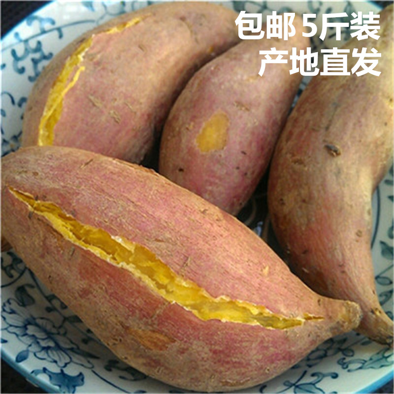 【原生态】高州黄心黄肉鸡蛋黄番薯红薯地瓜山芋红苕现挖现寄包邮在类目 水产肉类/新鲜蔬果/熟食, 新鲜蔬菜/蔬菜制品, 新鲜蔬菜, 番薯中 - 来自Buy2taobao.com提供专业的淘宝代购服务