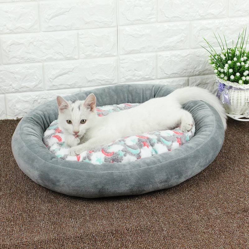 猫咪窝猫窝猫床狗窝小型犬四季通用猫睡袋垫子小奶猫泰迪床用品在类目 宠物/宠物食品及用品, 猫/狗日用品, 窝/屋/帐篷中 - 来自Buy2taobao.com提供专业的淘宝代购服务