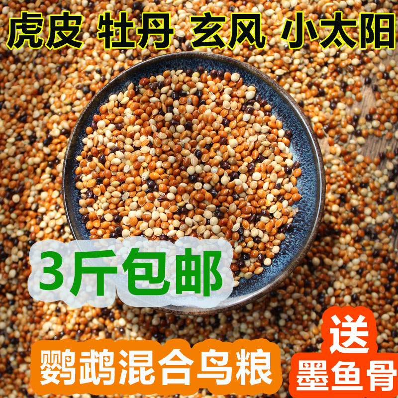 虎皮 牡丹 玄凤 小太阳鹦鹉五色红黍子混合鸟食鸟粮鹦鹉饲料500g|msdalam kategori haiwan peliharaan/makanan haiwan dan bekalan, Burung dan bekalan, makanan burung - dari Buy2taobao.com untuk memberikan perkhidmatan ejen Taobao profesional membeli