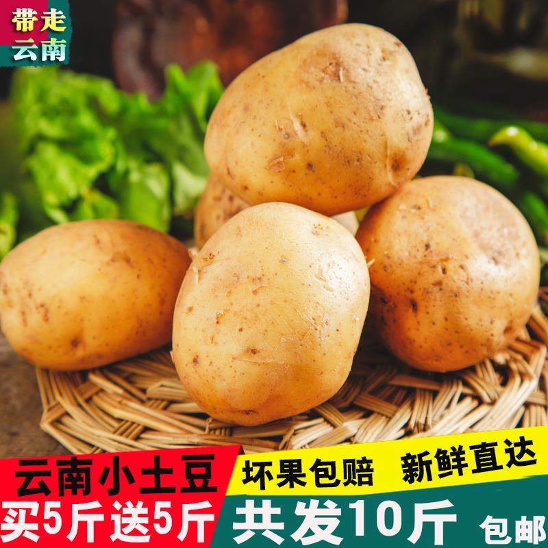 10斤装云南新鲜现挖小土豆农家自种蔬菜红皮黄心土豆马铃薯洋芋在类目 水产肉类/新鲜蔬果/熟食, 新鲜蔬菜/蔬菜制品, 新鲜蔬菜, 土豆中 - 来自Buy2taobao.com提供专业的淘宝代购服务